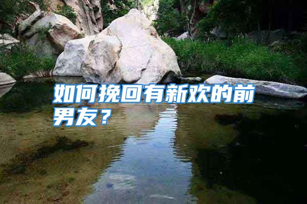 如何挽回有新欢的前男友？