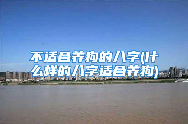 不适合养狗的八字(什么样的八字适合养狗)
