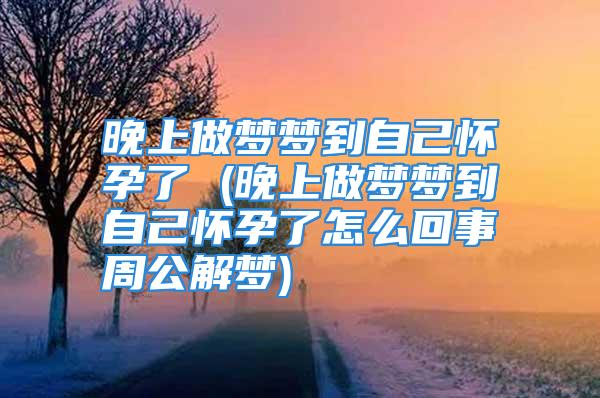 晚上做梦梦到自己怀孕了 (晚上做梦梦到自己怀孕了怎么回事周公解梦)