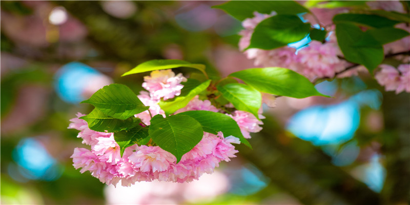 小女孩名字2021牛大全(2021宝宝图片)