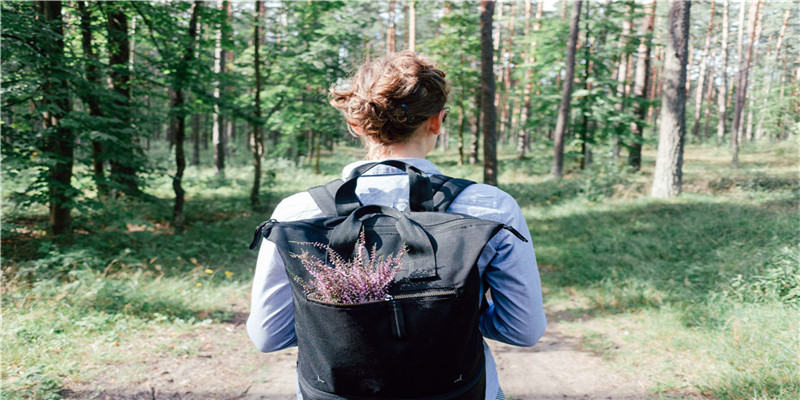 金刚菩提几瓣的最好(一瓣金刚菩提)