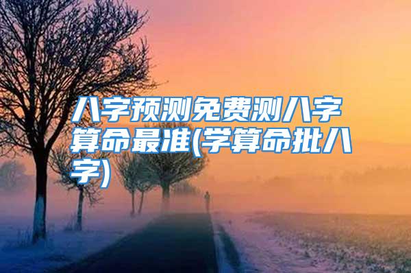 八字预测免费测八字算命最准(学算命批八字)