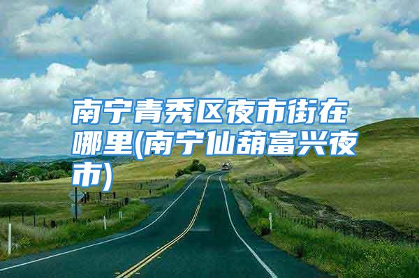 南宁青秀区夜市街在哪里(南宁仙葫富兴夜市)