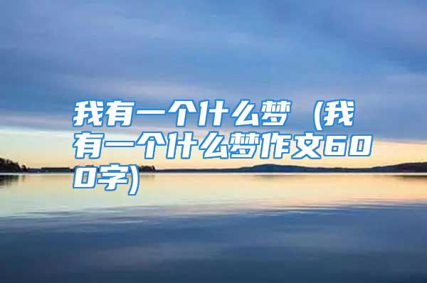 我有一个什么梦 (我有一个什么梦作文600字)