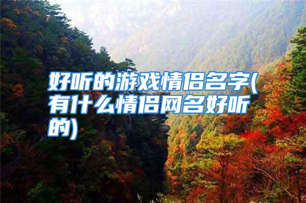 好听的游戏情侣名字(有什么情侣网名好听的)