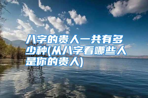 八字的贵人一共有多少种(从八字看哪些人是你的贵人)