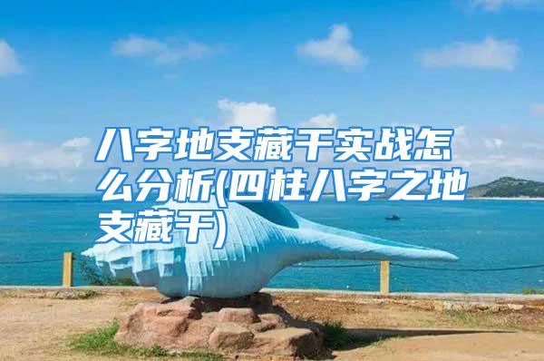 八字地支藏干实战怎么分析(四柱八字之地支藏干)