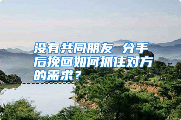 没有共同朋友 分手后挽回如何抓住对方的需求?