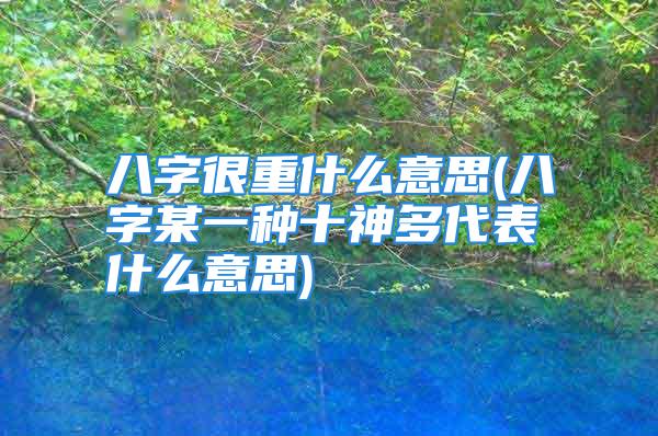 八字很重什么意思(八字某一种十神多代表什么意思)