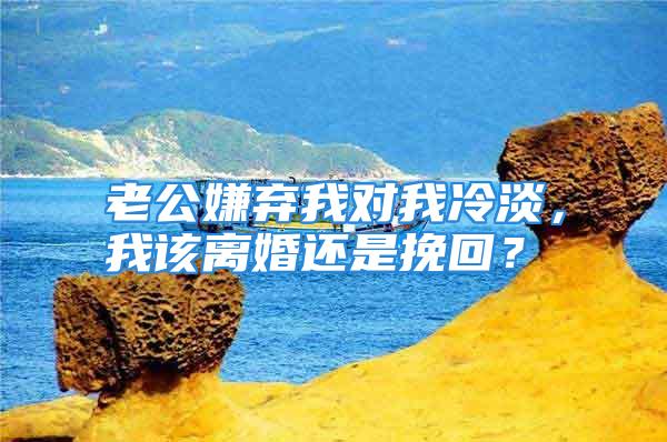 老公嫌弃我对我冷淡，我该离婚还是挽回？