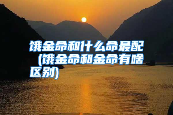 饿金命和什么命最配 (饿金命和金命有啥区别)