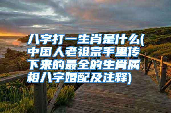 八字打一生肖是什么(中国人老祖宗手里传下来的最全的生肖属相八字婚配及注释)