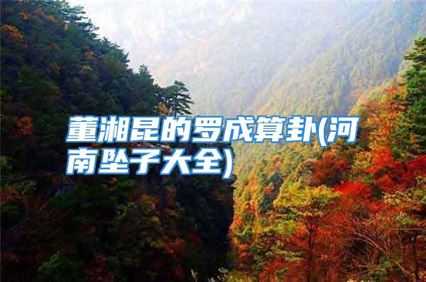 董湘昆的罗成算卦(河南坠子大全)