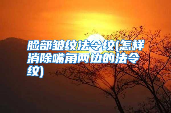 脸部皱纹法令纹(怎样消除嘴角两边的法令纹)