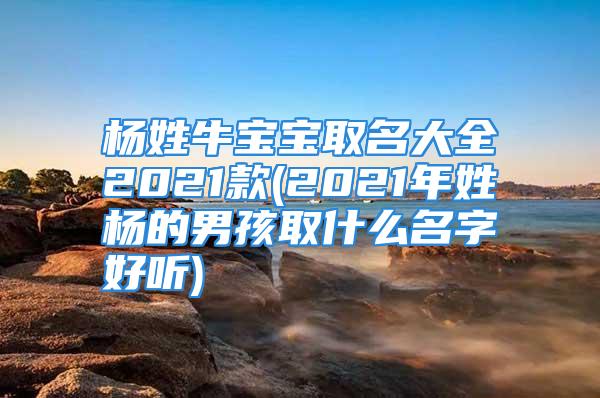 杨姓牛宝宝取名大全2021款(2021年姓杨的男孩取什么名字好听)