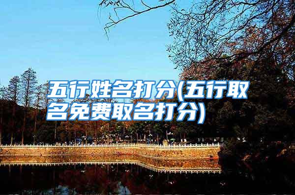 五行姓名打分(五行取名免费取名打分)