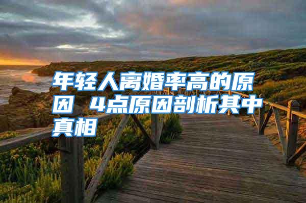 年轻人离婚率高的原因 4点原因剖析其中真相