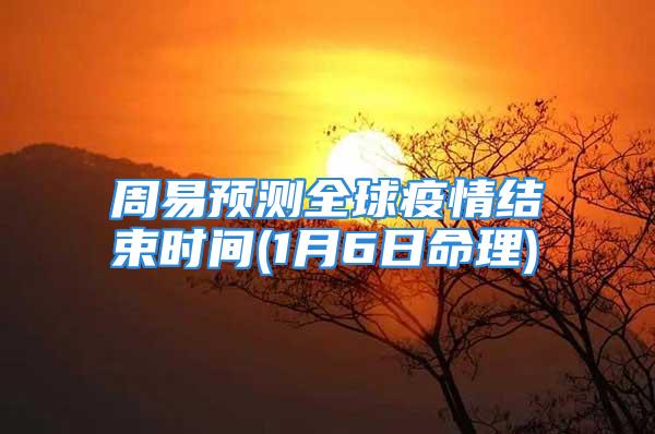 周易预测全球疫情结束时间(1月6日命理)