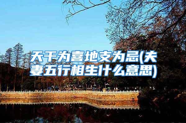 天干为喜地支为忌(夫妻五行相生什么意思)