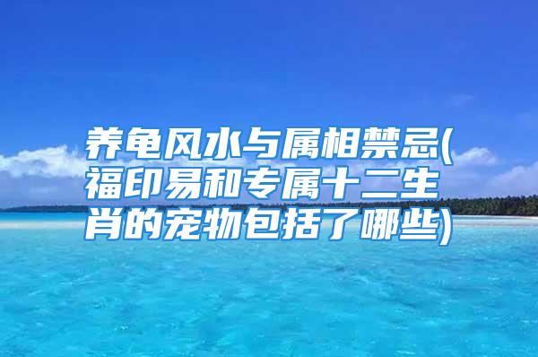 养龟风水与属相禁忌(福印易和专属十二生肖的宠物包括了哪些)