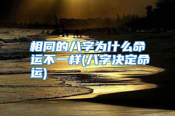 相同的八字为什么命运不一样(八字决定命运)
