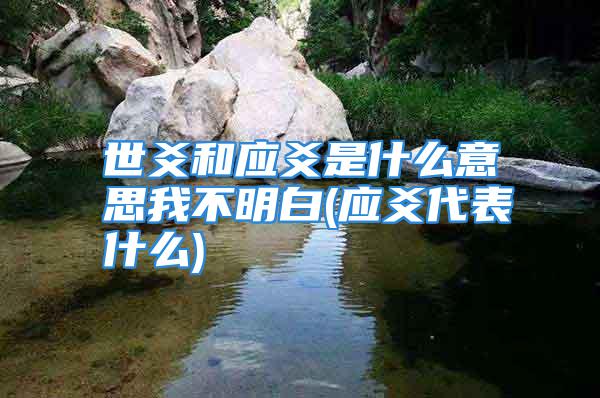 世爻和应爻是什么意思我不明白(应爻代表什么)