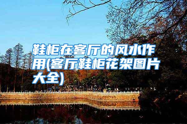 鞋柜在客厅的风水作用(客厅鞋柜花架图片大全)