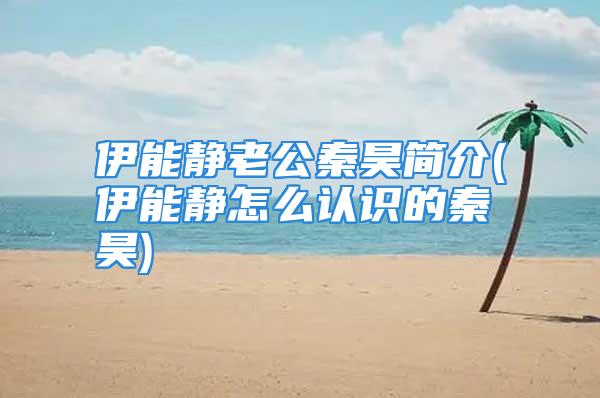 伊能静老公秦昊简介(伊能静怎么认识的秦昊)