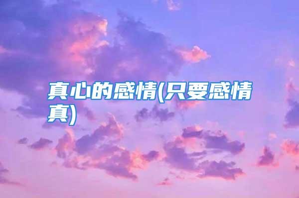 真心的感情(只要感情真)
