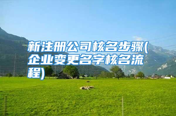 新注册公司核名步骤(企业变更名字核名流程)