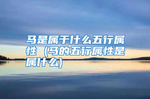 马是属于什么五行属性 (马的五行属性是属什么)