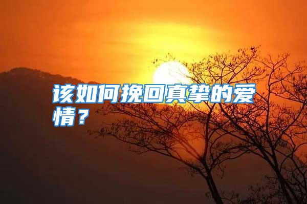 该如何挽回真挚的爱情？