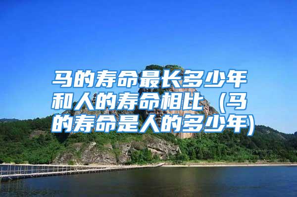 马的寿命最长多少年和人的寿命相比 (马的寿命是人的多少年)