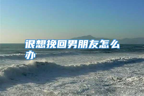 很想挽回男朋友怎么办
