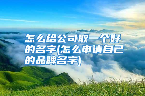 怎么给公司取一个好的名字(怎么申请自己的品牌名字)