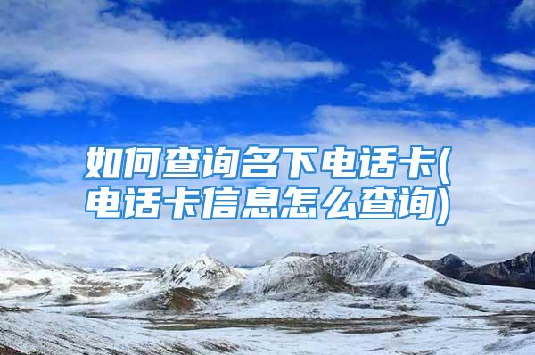 如何查询名下电话卡(电话卡信息怎么查询)