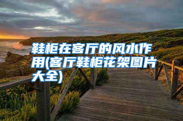鞋柜在客厅的风水作用(客厅鞋柜花架图片大全)
