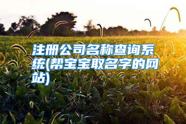 注册公司名称查询系统(帮宝宝取名字的网站)