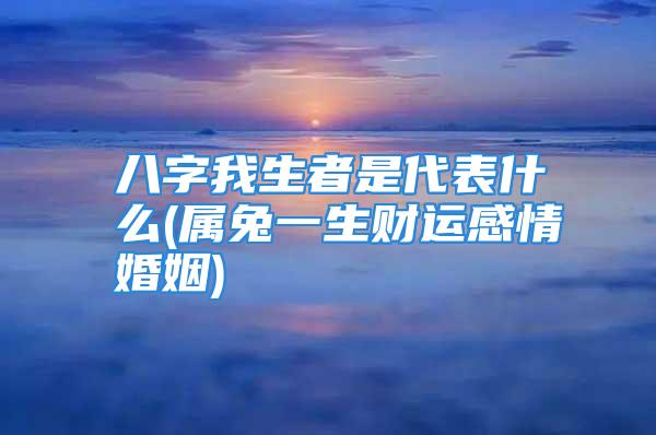 八字我生者是代表什么(属兔一生财运感情婚姻)