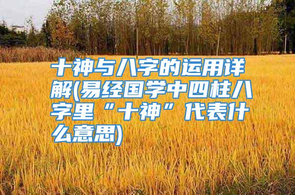 十神与八字的运用详解(易经国学中四柱八字里“十神”代表什么意思)