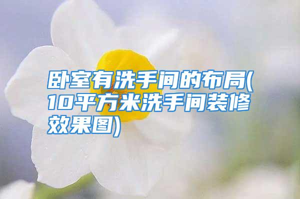 卧室有洗手间的布局(10平方米洗手间装修效果图)