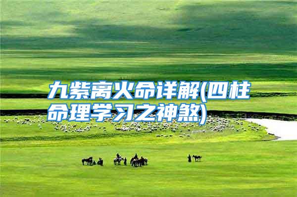 九紫离火命详解(四柱命理学习之神煞)