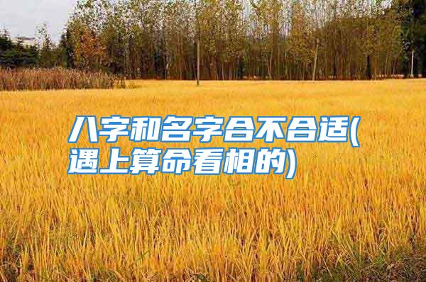 八字和名字合不合适(遇上算命看相的)