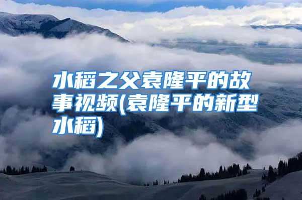 水稻之父袁隆平的故事视频(袁隆平的新型水稻)