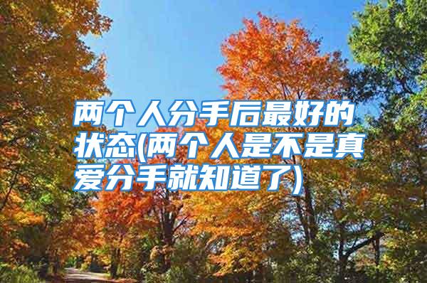 两个人分手后最好的状态(两个人是不是真爱分手就知道了)
