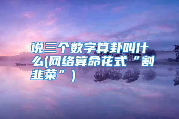 说三个数字算卦叫什么(网络算命花式“割韭菜”)