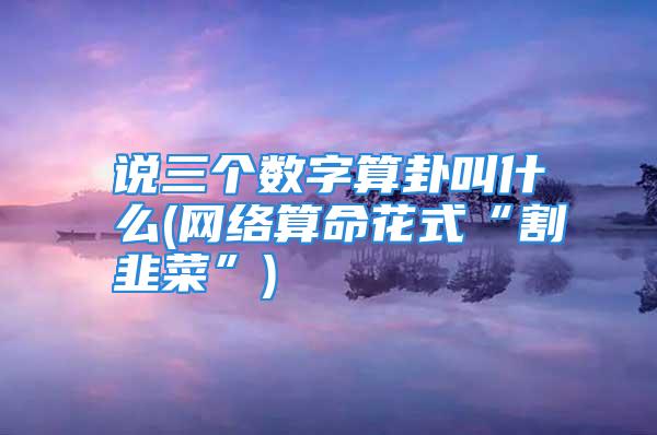 说三个数字算卦叫什么(网络算命花式“割韭菜”)