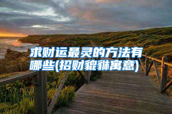 求财运最灵的方法有哪些(招财貔貅寓意)