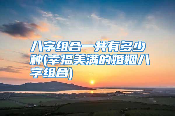 八字组合一共有多少种(幸福美满的婚姻八字组合)