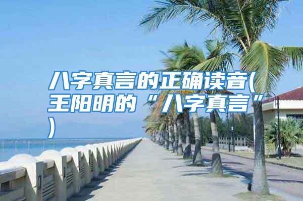 八字真言的正确读音(王阳明的“八字真言”)